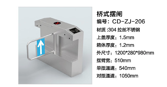 桥式摆闸CD-ZJ-206