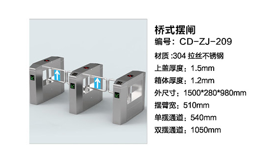 桥式摆闸CD-ZJ-209