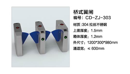 桥式摆闸CD-ZJ-303